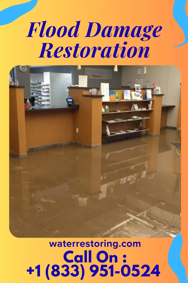 Flood Damage Restoration in Harrington Park, NJ