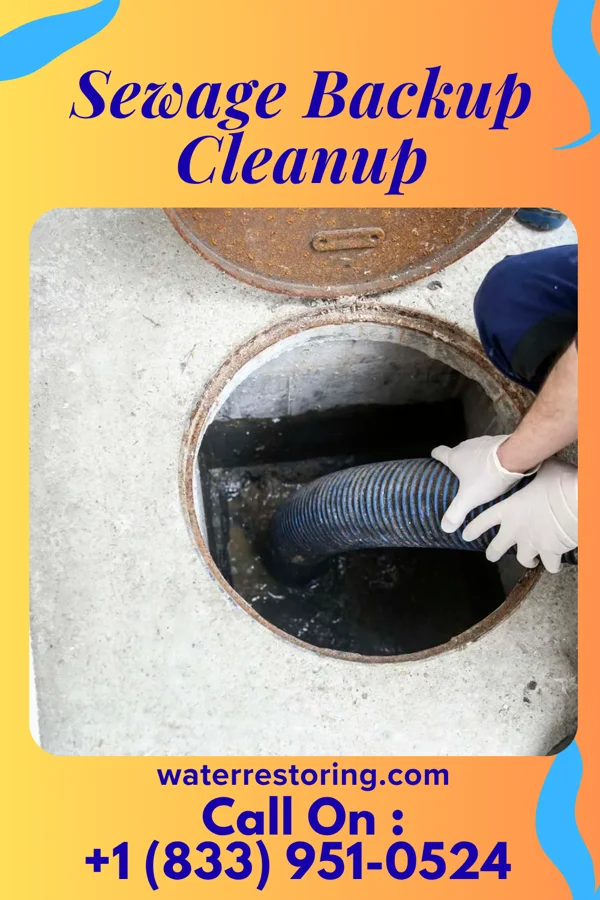 Sewage Backup Cleanup in Harrington Park, NJ